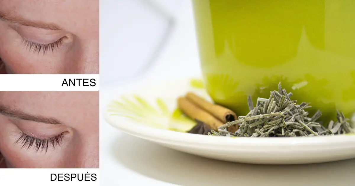 Tips para Hacer Crecer tus Pestañas con el Té Verde